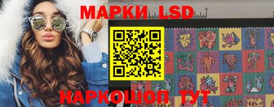 крисы Пенза