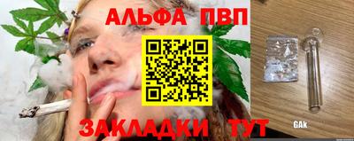крисы Пенза