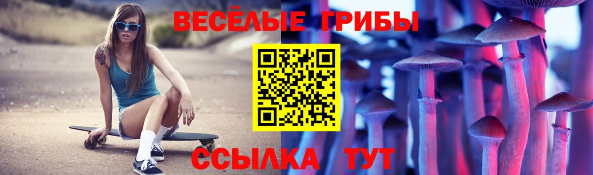 Галлюциногенные грибы MAGIC MUSHROOMS  Вход с VPN  Галлюциногенные грибы Cubensis  Осинники 